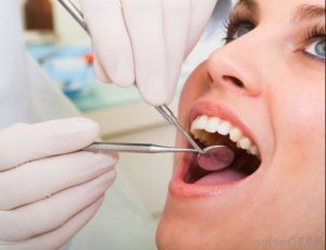 Gums and Your Oral Health